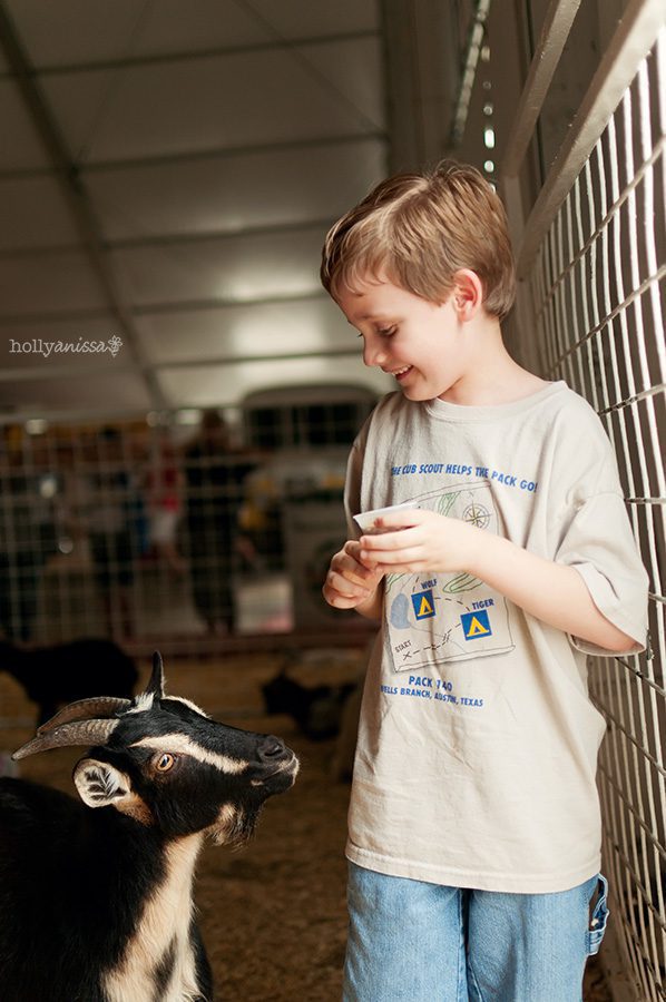 Austin lifestyle photographer Rodeo Star of Texas Fair petting zoo