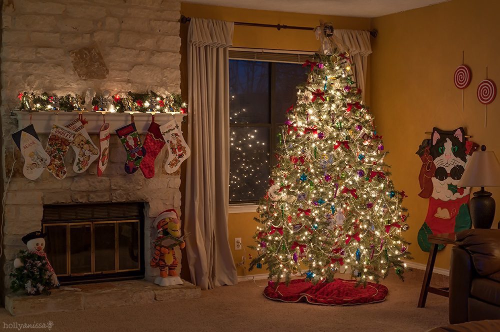 Austin lifestyle Christmas tree photographer holiday