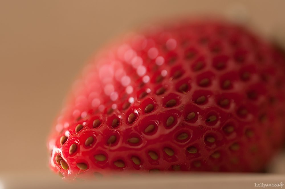 Austin macro strawberry fruit photographer