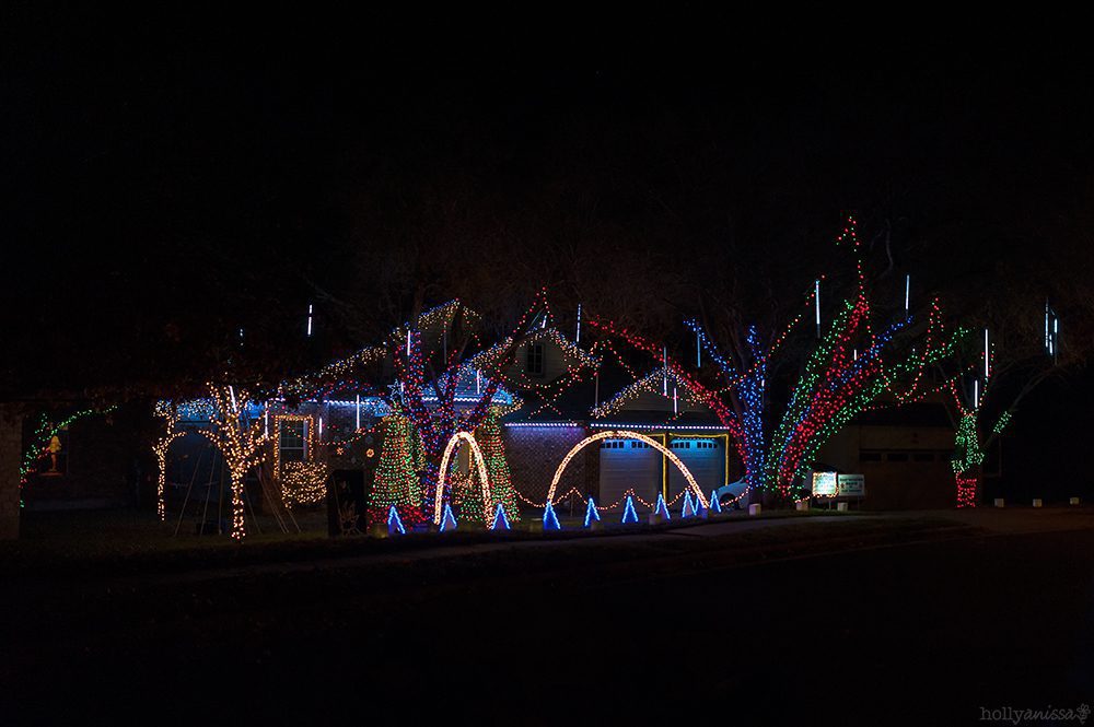 Austin Christmas lights holiday photographer