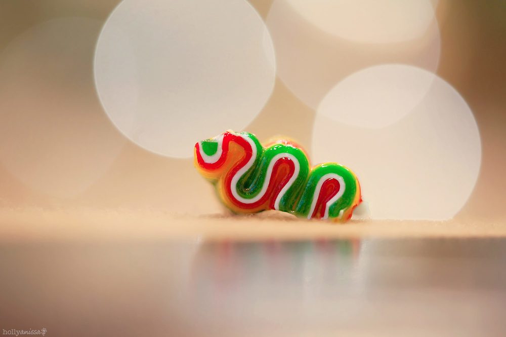 New Braunfels macro candy ribbon Christmas photographer