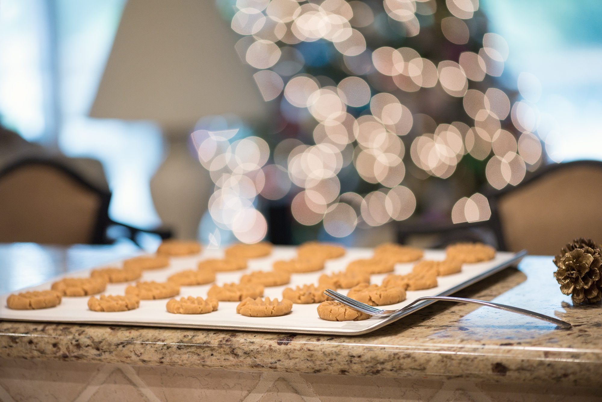 New Braunfels Christmas cookie baking food photographer